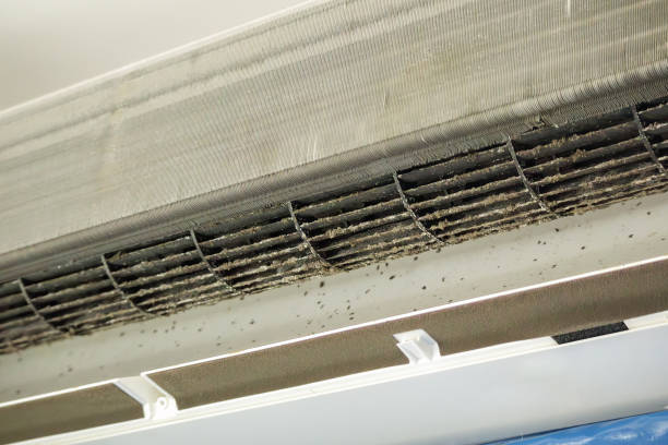 Best Affordable Duct Cleaning Services  in Sa Conejo, CA
